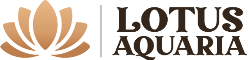 https://api.whatsapp.com/send?phone=91%2091366%2004741&text=I%20want%20to%20know%20more%20details%20about%20Lotus%20Aquaria.